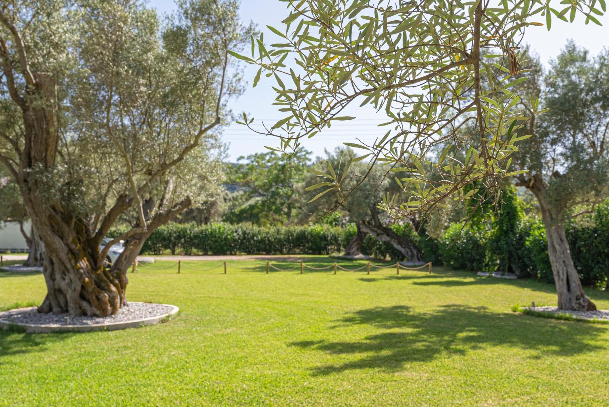 Elaia - Apartments & Studios Lefkada City Ngoại thất bức ảnh