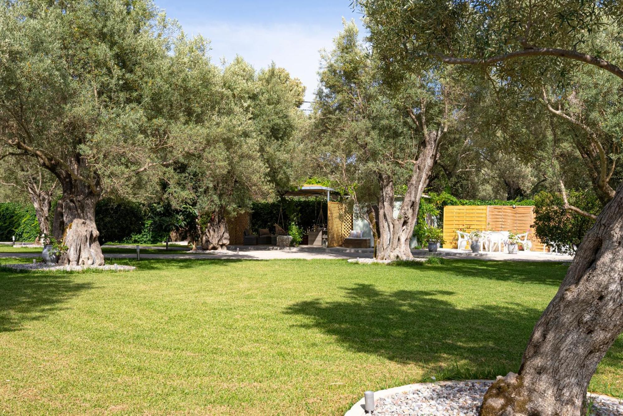 Elaia - Apartments & Studios Lefkada City Ngoại thất bức ảnh