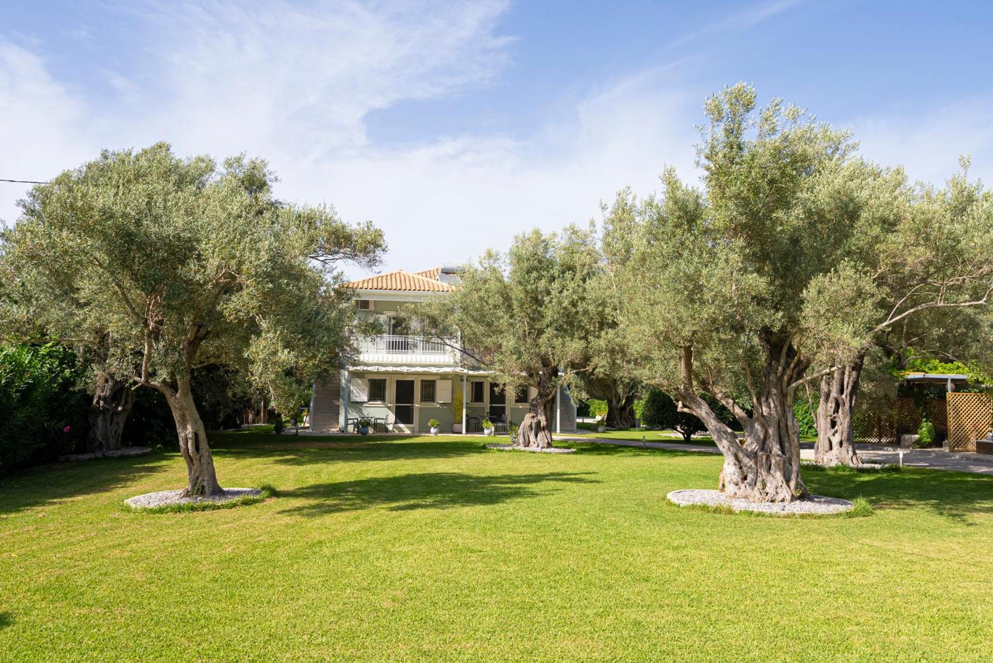 Elaia - Apartments & Studios Lefkada City Ngoại thất bức ảnh