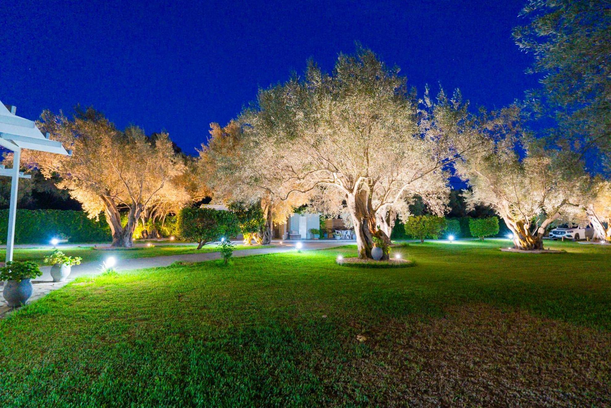 Elaia - Apartments & Studios Lefkada City Ngoại thất bức ảnh